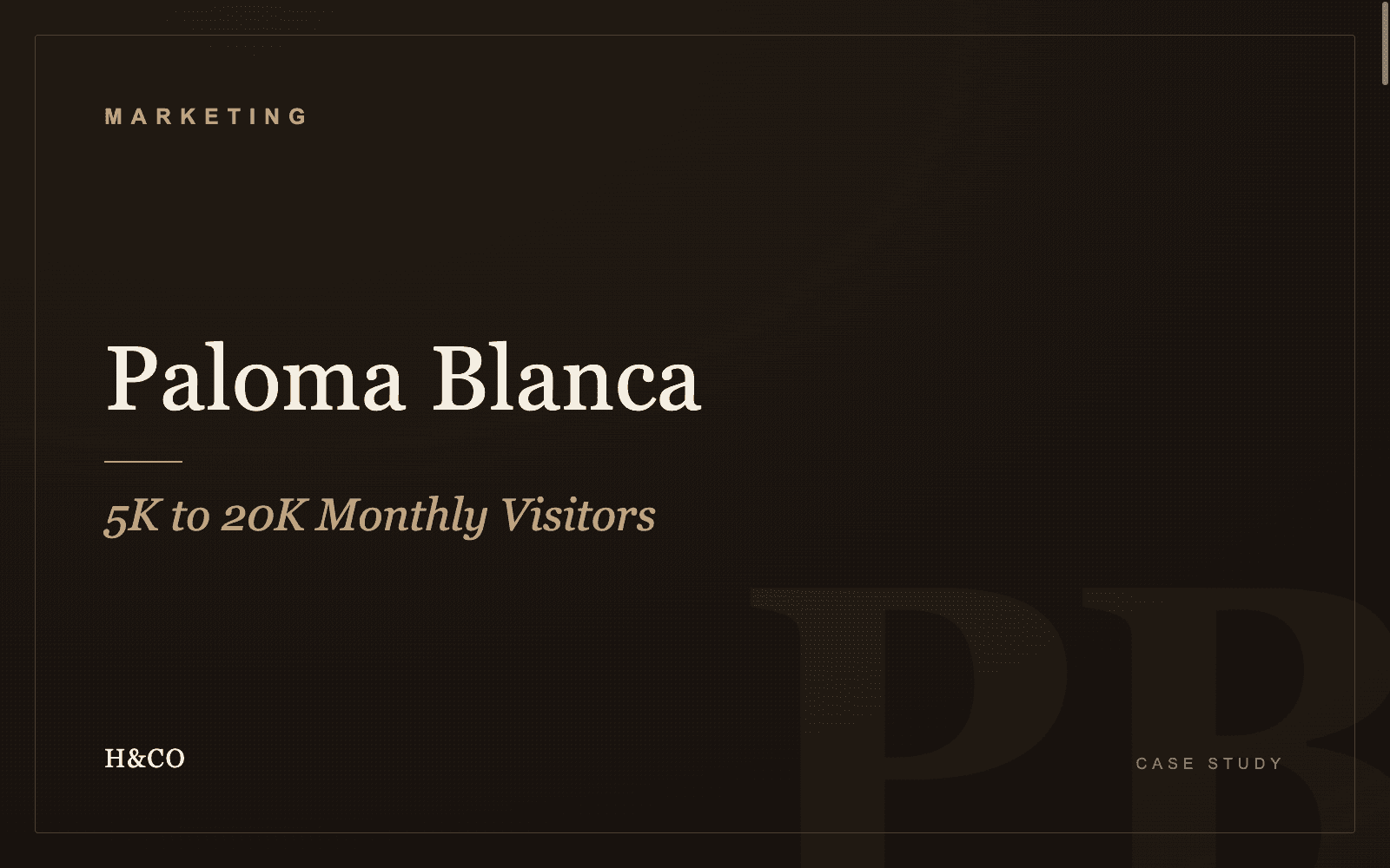 Transforming Paloma Blanca’s Digital Presence